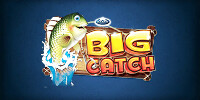Live Spielen Automaten Casino